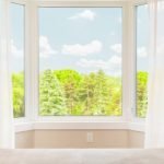 window with a view of the forest