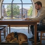Guide to Disabled Veteran Education Benefits