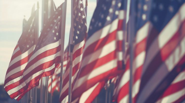 USA flags in a row