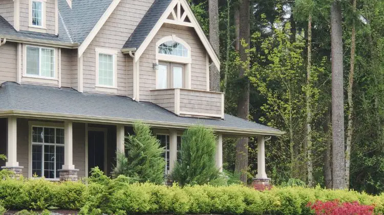 home surrounded by woods