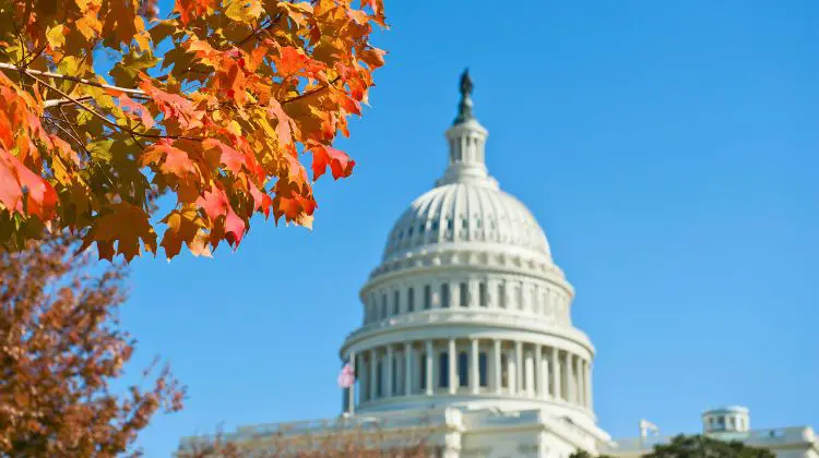 Washington D.C. in autumn