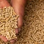 Wood pellets