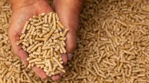 Wood pellets