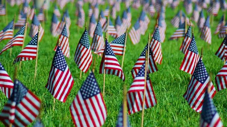 small American flags on a lawn
