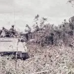 A military vehicle driving through a forest filled with trees