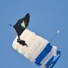 A skydiver descends under a blue and white U.S. Space Force parachute.
