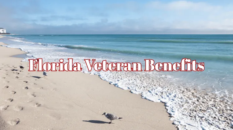 State benefits for Veterans and military families living in Florida