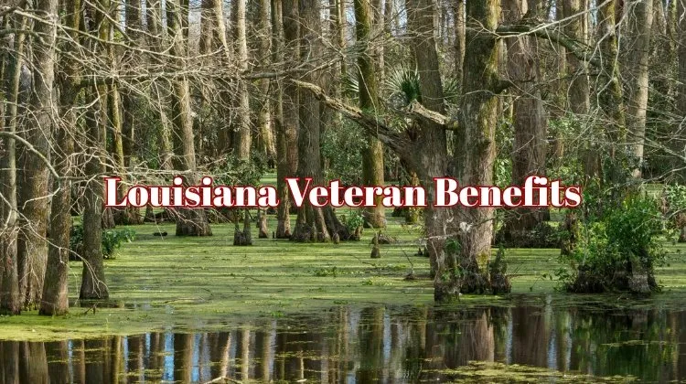 guide to Louisiana Veteran Benefits